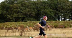 Runner runs past a herd of deer