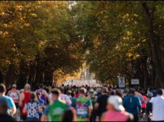 Image of runners running along a wide avenue lined with trees