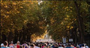 Image of runners running along a wide avenue lined with trees