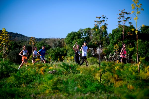 Runners in lush Mediterranean foliage look happy as they run by