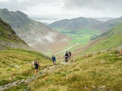 Runners meander through a green valley