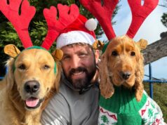 Veteran Marine to run 700km to encourage UK to “adopt not shop” Man wearing santa hat poses wiith two golden dogs dressed as reindeer