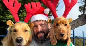 Man wearing santa hat poses wiith two golden dogs dressed as reindeer