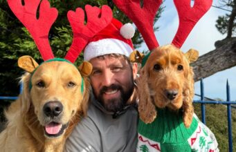 Man wearing santa hat poses wiith two golden dogs dressed as reindeer
