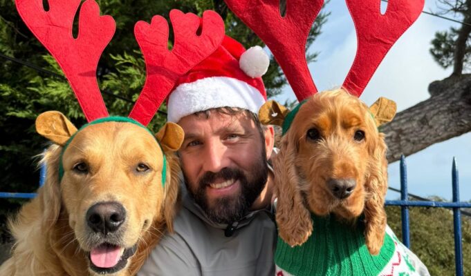 Man wearing santa hat poses wiith two golden dogs dressed as reindeer