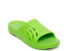 Review: Enertor Recovery Slide A green recovery slide on white background