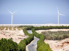 A lone cyclist on a winding tree lined road amongst a rocky desert. Two wind turbines frame the scene