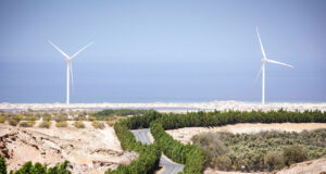 A lone cyclist on a winding tree lined road amongst a rocky desert. Two wind turbines frame the scene