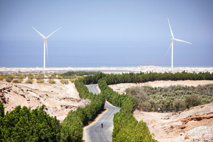 A lone cyclist on a winding tree lined road amongst a rocky desert. Two wind turbines frame the scene