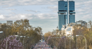 Thousands of runners line up in a tree lind avenue