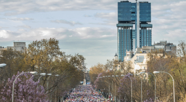 Thousands of runners line up in a tree lind avenue