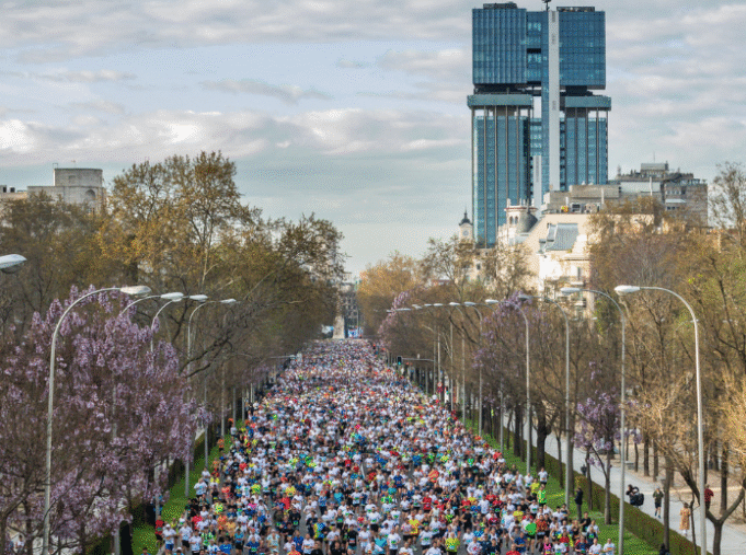 Thousands of runners line up in a tree lind avenue