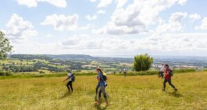 Three runners traverse a sunny field