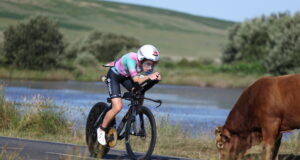 Woman on bike cycles near lake past brown cow