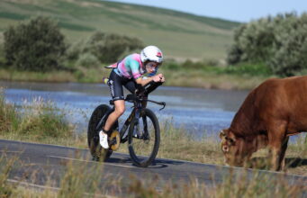 Woman on bike cycles near lake past brown cow