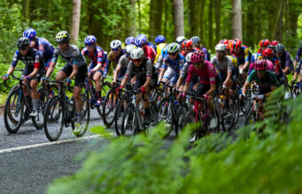 Peloton of female cyclists on a woodland road
