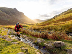 Altra 13 Valleys Ultra continues rapid growth Lone walker in a green valley
