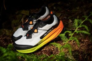 Trail shoes propped against a fern