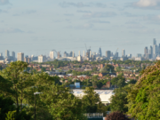 London city skyline framed by lots of leafy trees
